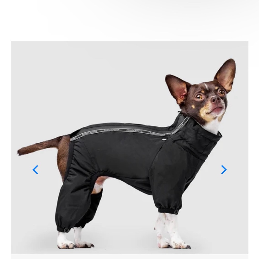 *NEW* Canada Pooch Dog Snow Suit